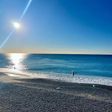 Stunning In The Gold Square Of Nice! * ניס